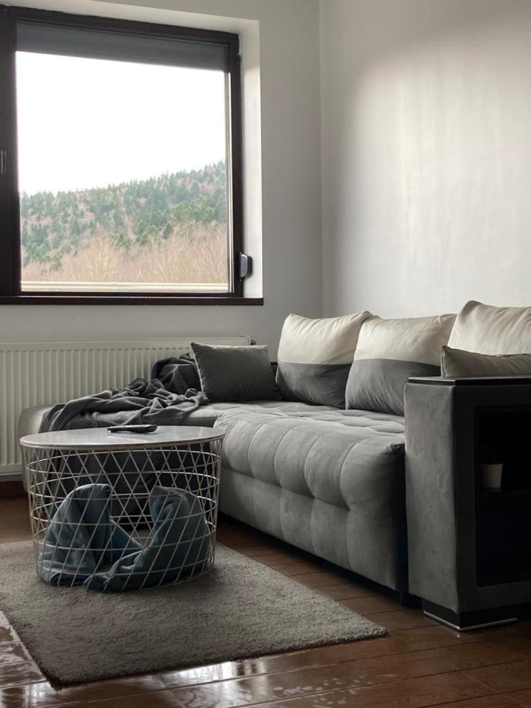 Apartamento Relax View Ap With Private Parking Sinaia Exterior foto